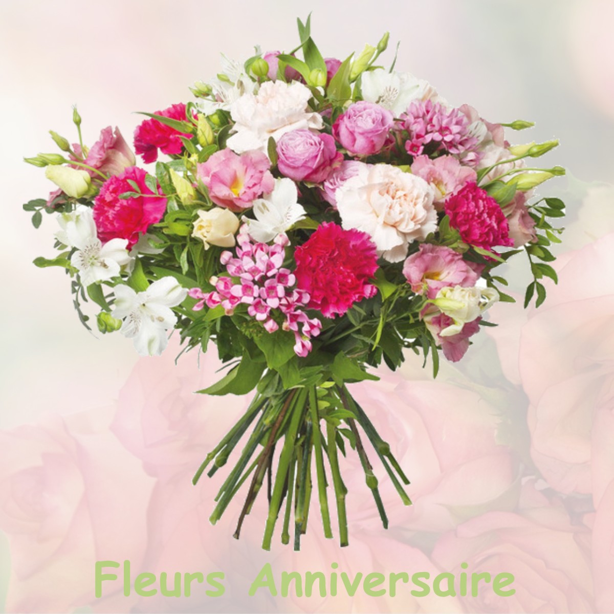 fleurs anniversaire PEYMEINADE