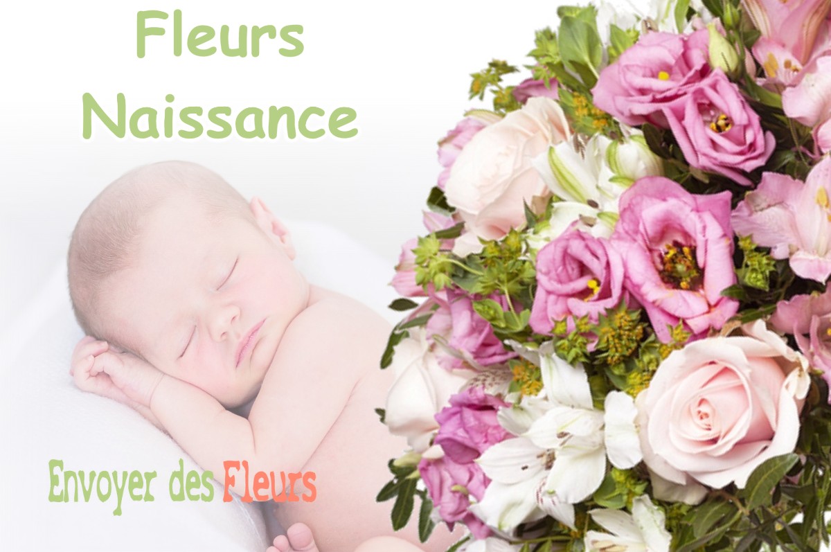 lIVRAISON FLEURS NAISSANCE à PEYMEINADE